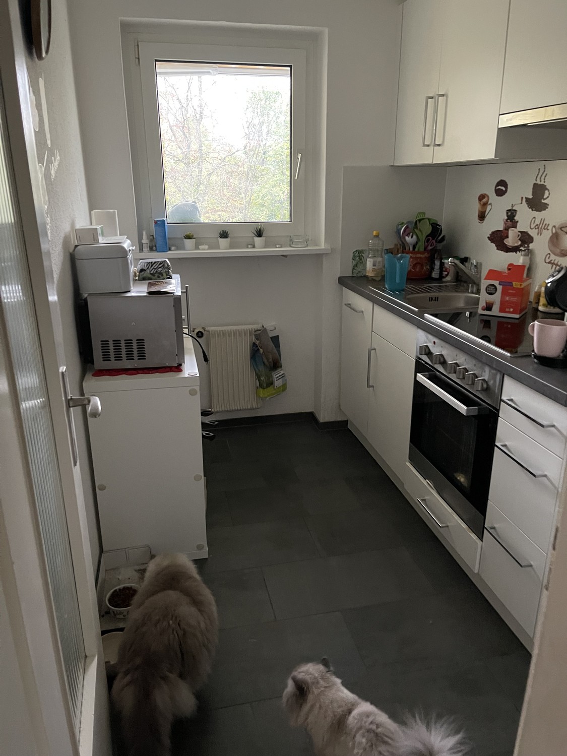 2 rooms apartment, Foto 2 von 4