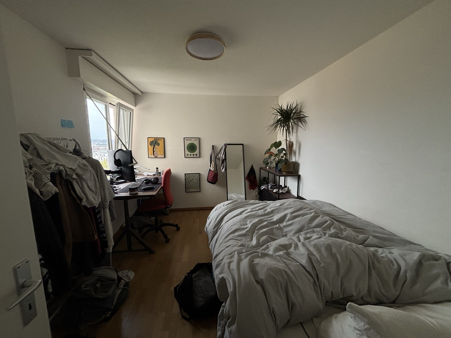 Room in a shared flat