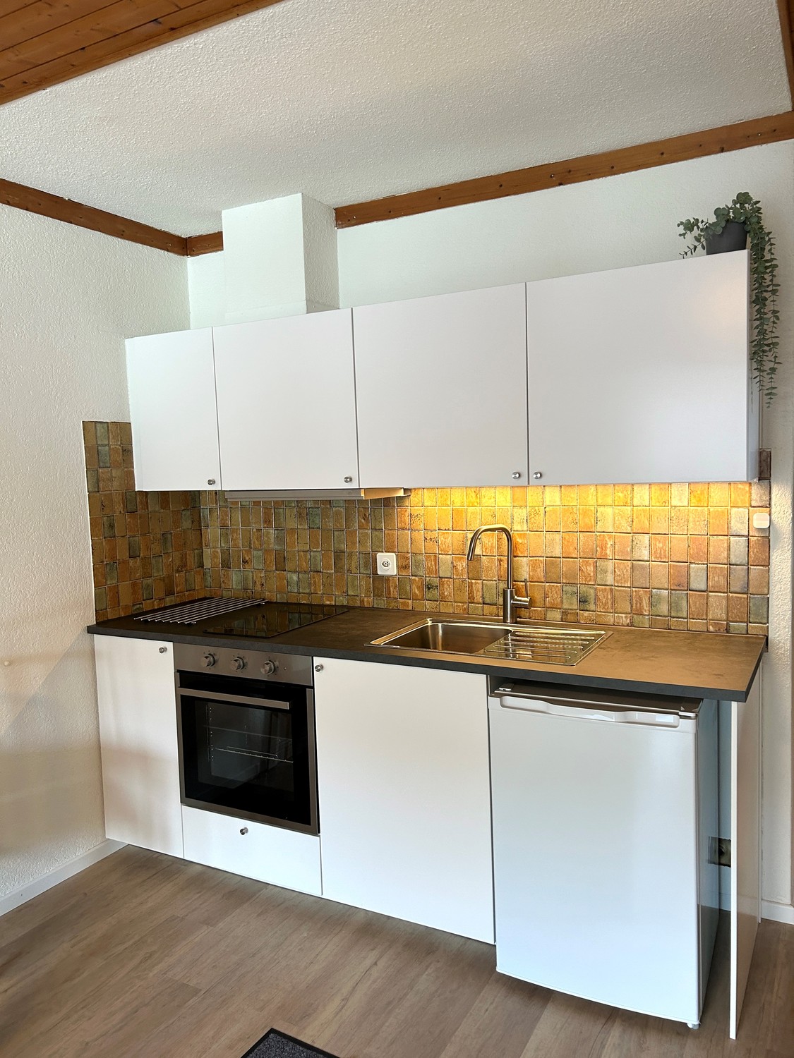 1 room apartment, Foto 1 von 3
