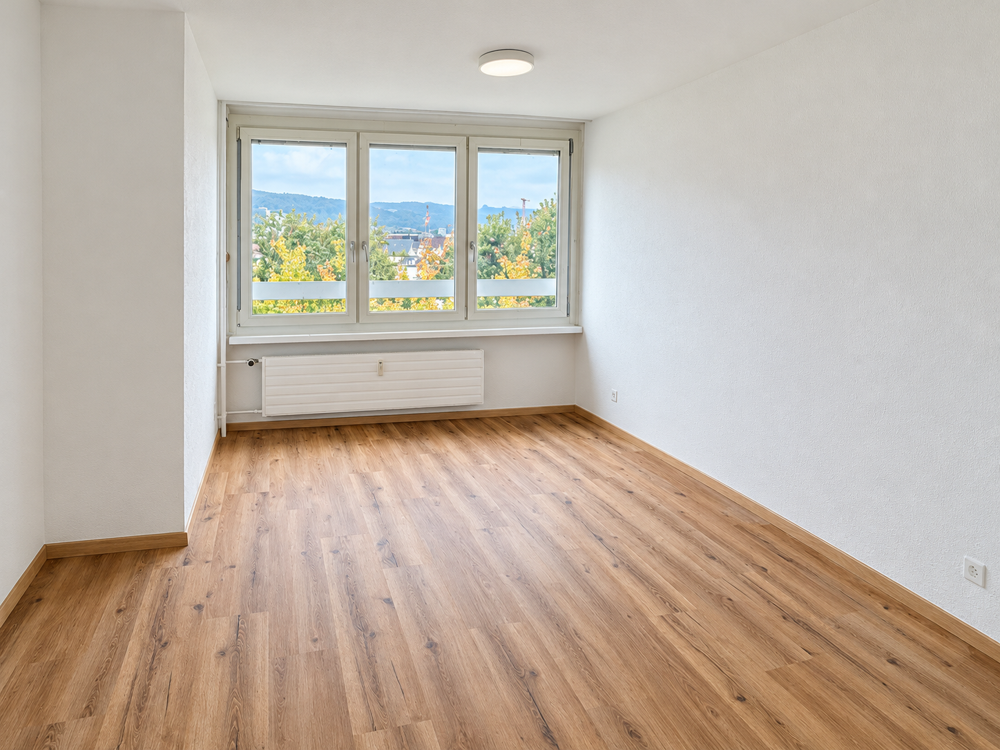 2 ½ rooms apartment