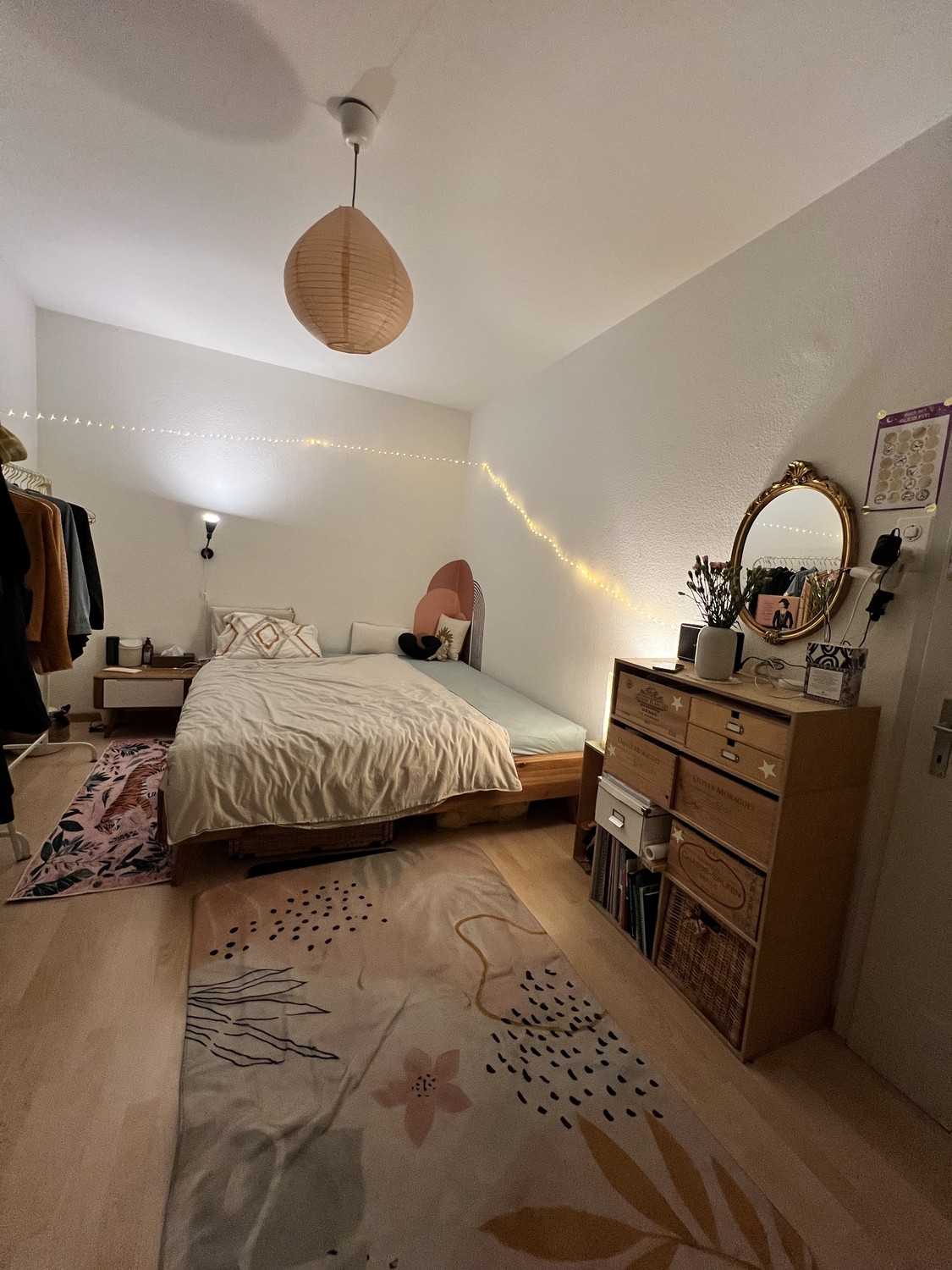 Room in a shared flat