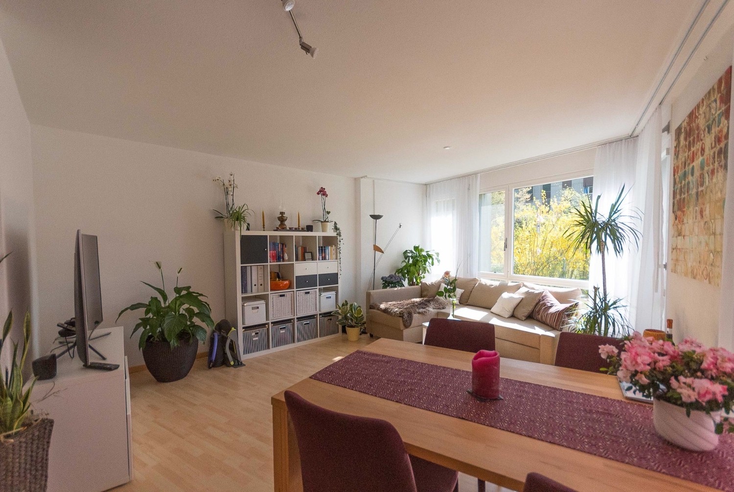 2 ½ pièces appartement