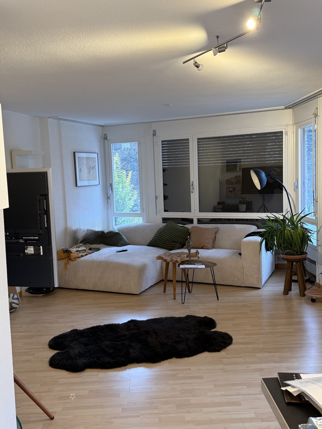 2 ½ pièces appartement