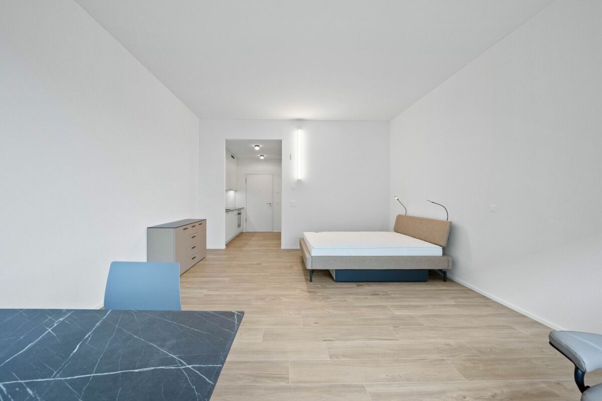 Appartamento arredato di 1 ½ locali