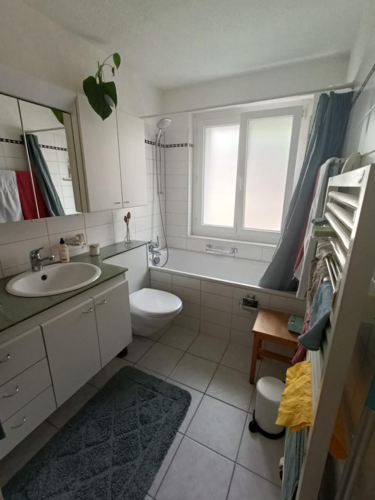 3-Zimmer-Wohnung
