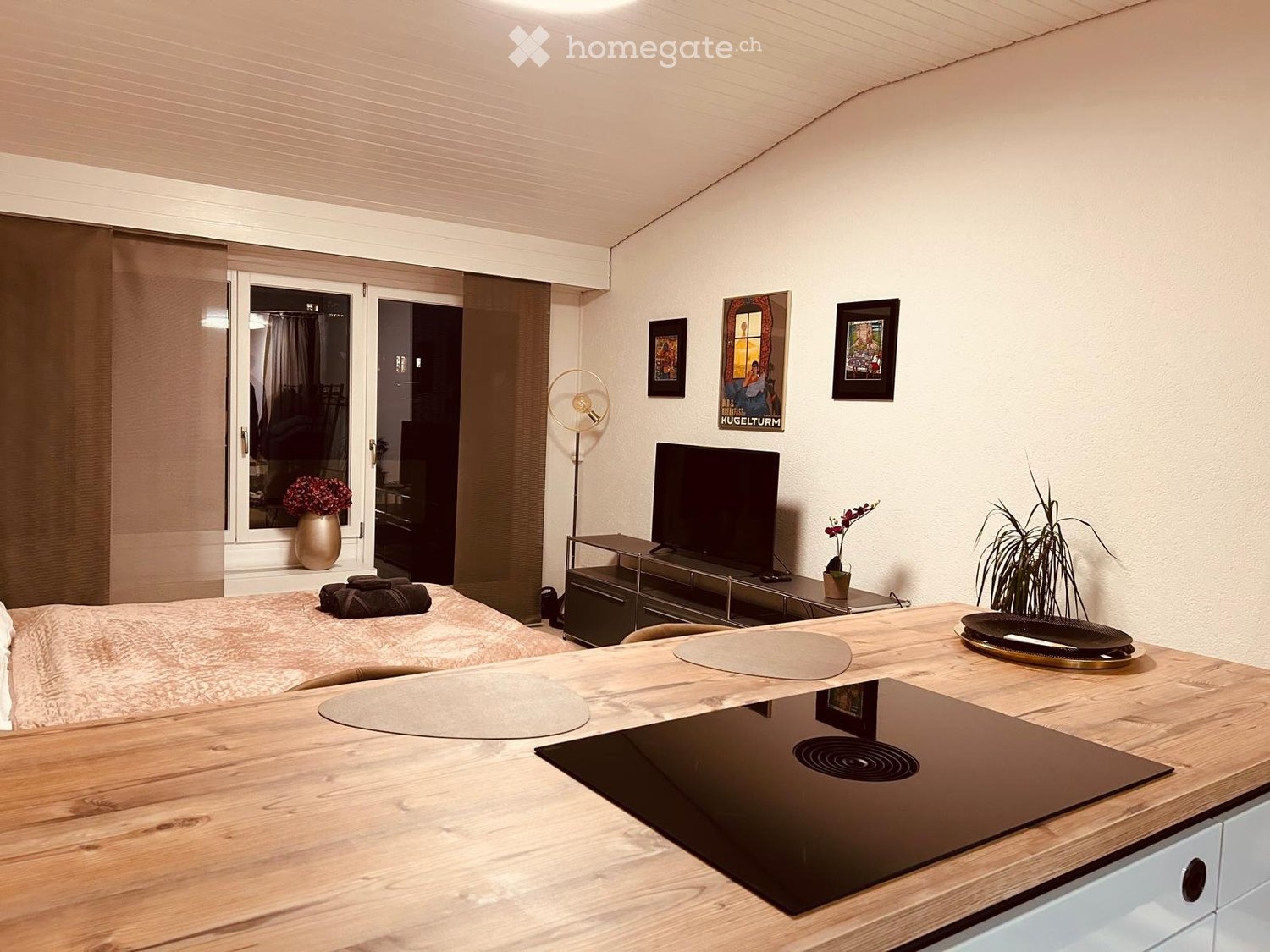1 room apartment