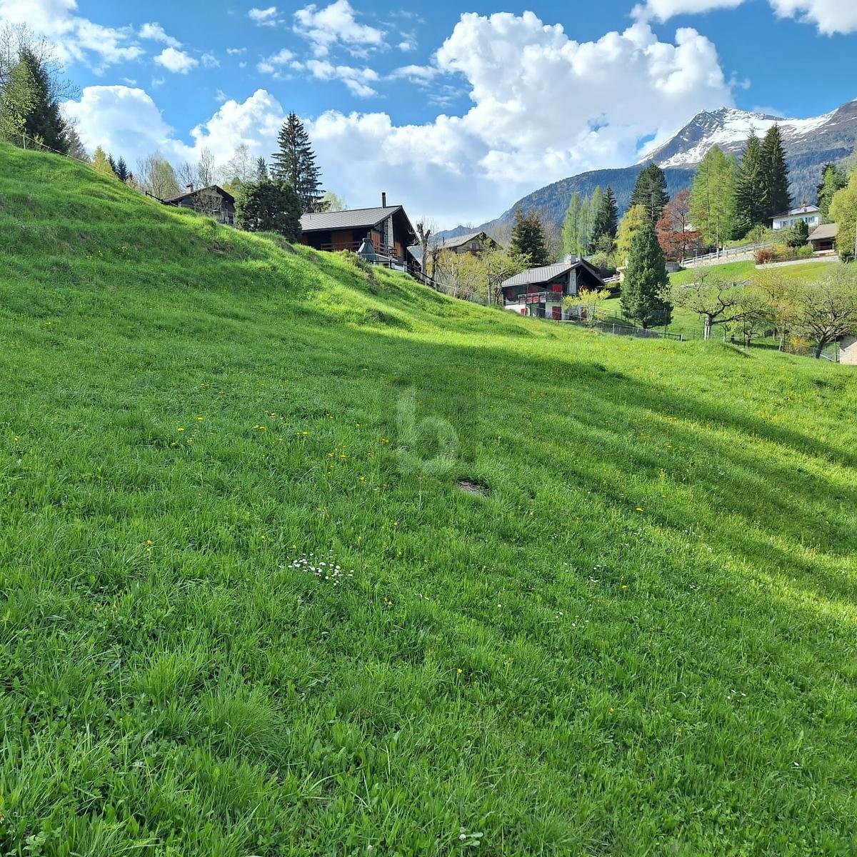 2390m² Bauland