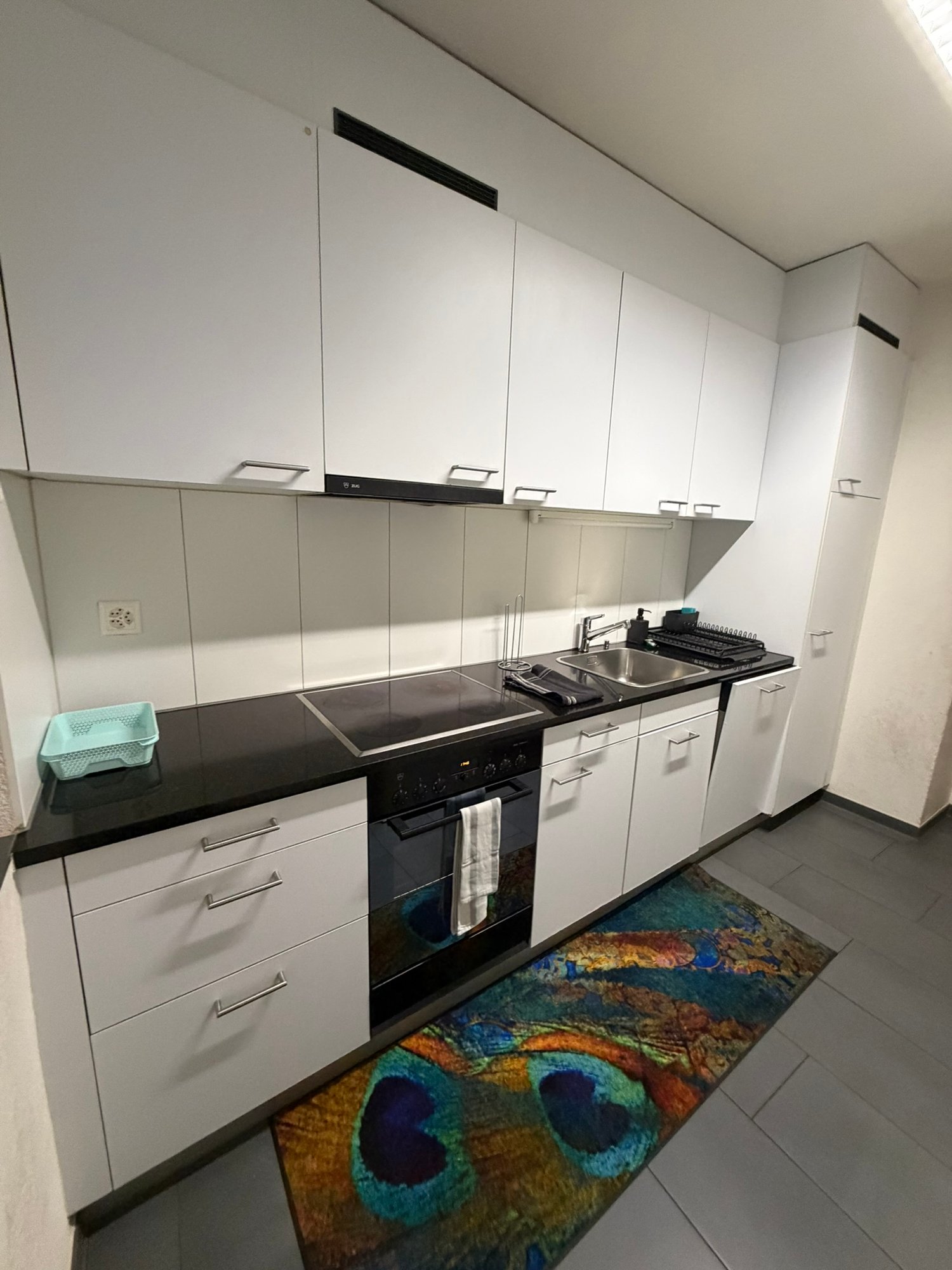 2 ½ Zimmer Wohnung, Foto 8 von 10