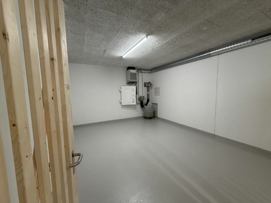 Cellar compartment