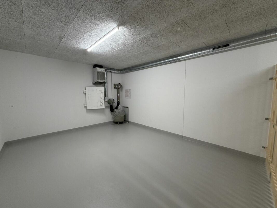 Cellar compartment