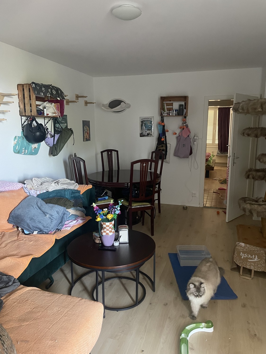 2 rooms apartment, Foto 1 von 8