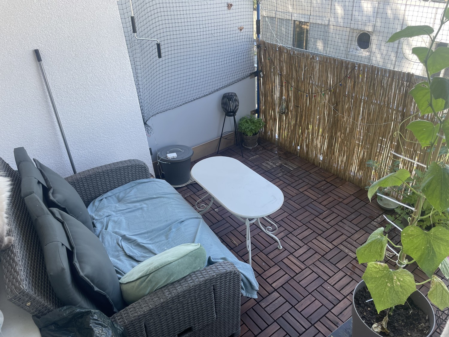 2 rooms apartment, Foto 2 von 8