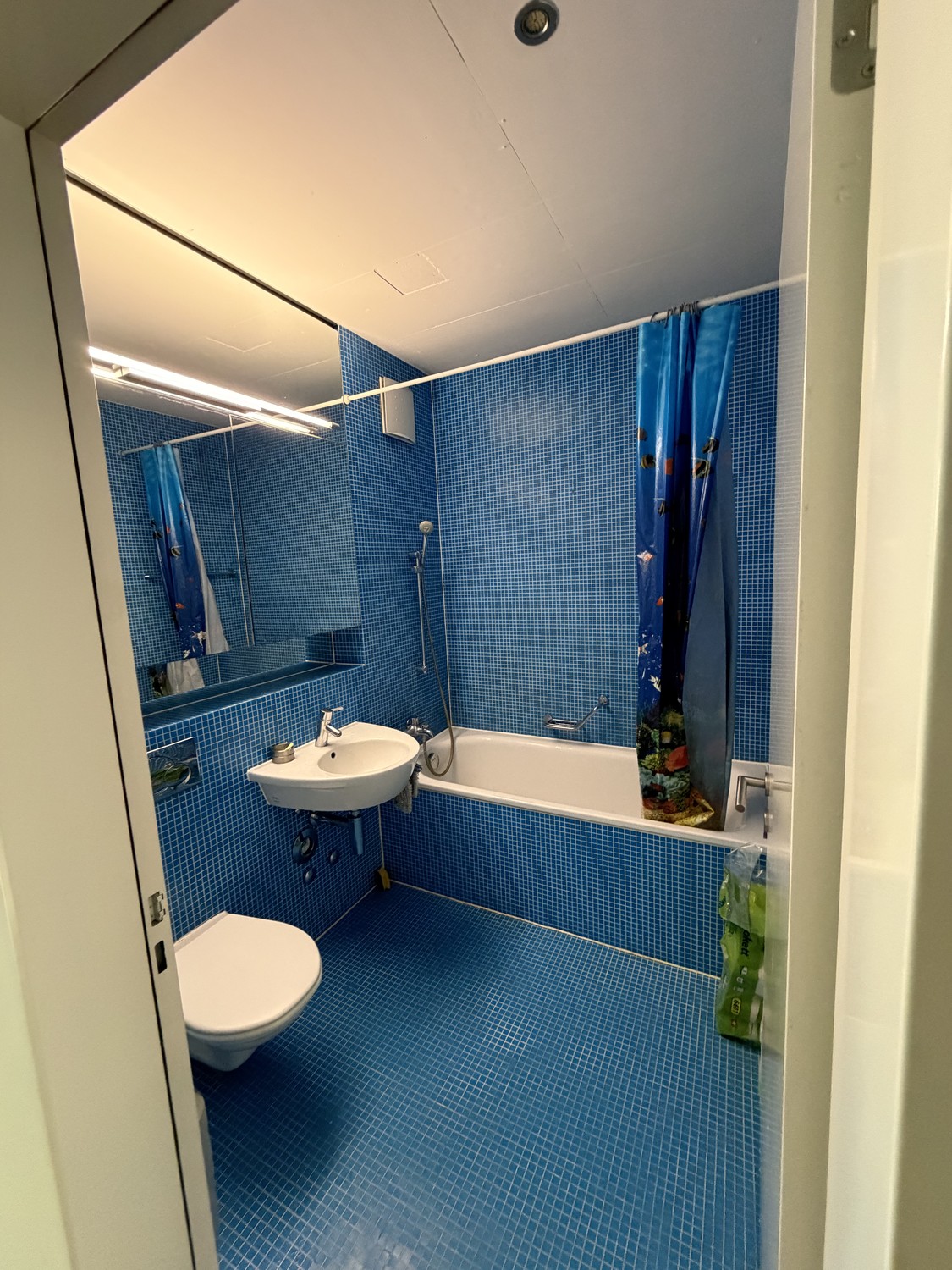 Zimmer in einer WG
Wir suchen einen freundlichen Mitbewohner/eine freundliche Mitbewohnerin für unsere WG! Das Zimmer (15 m²) ist ab dem **1. September** für **CHF 931.81/Monat** (inklusive Heizung) verfügbar und ist bis Januar 2027 garantiert, mit der Möglichkeit, um bis zu ein Jahr zu verlängern., Foto 5 von 10