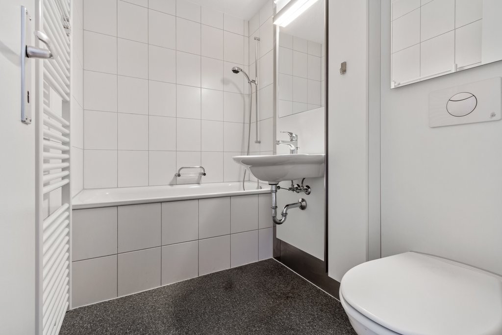 3 ½ rooms apartment (6)
