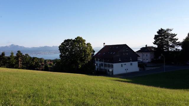 3-Zimmer-Wohnung