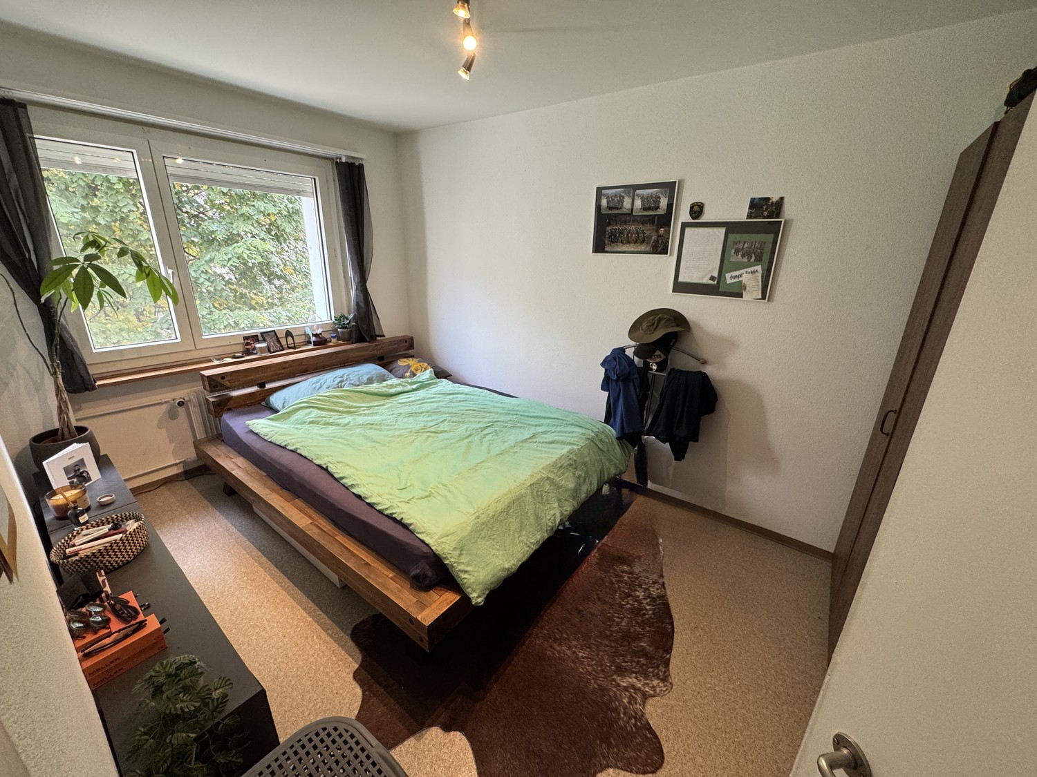 Room in a shared flat