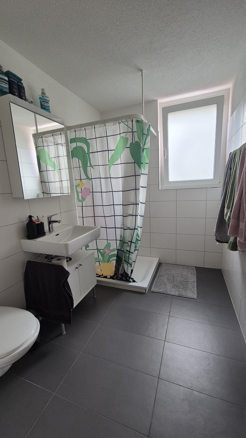 3 ½ Zimmer-Wohnung