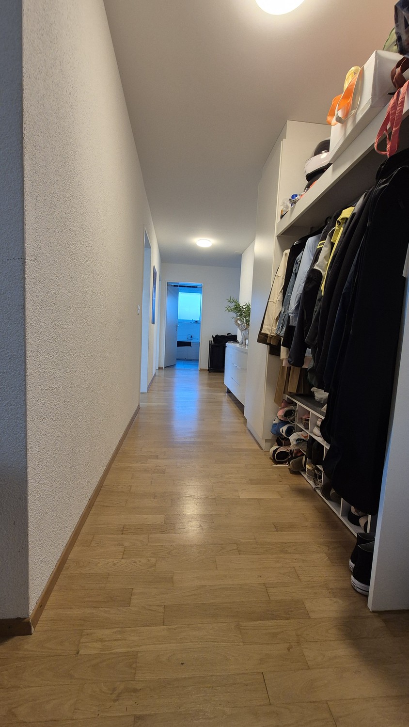 3 ½ Zimmer-Wohnung