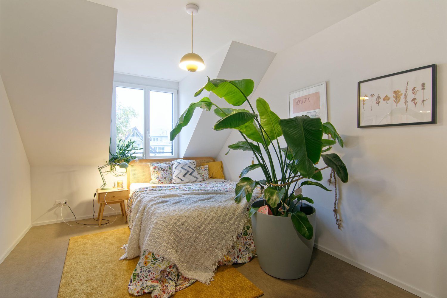 2 ½ rooms apartment, Foto 6 von 9