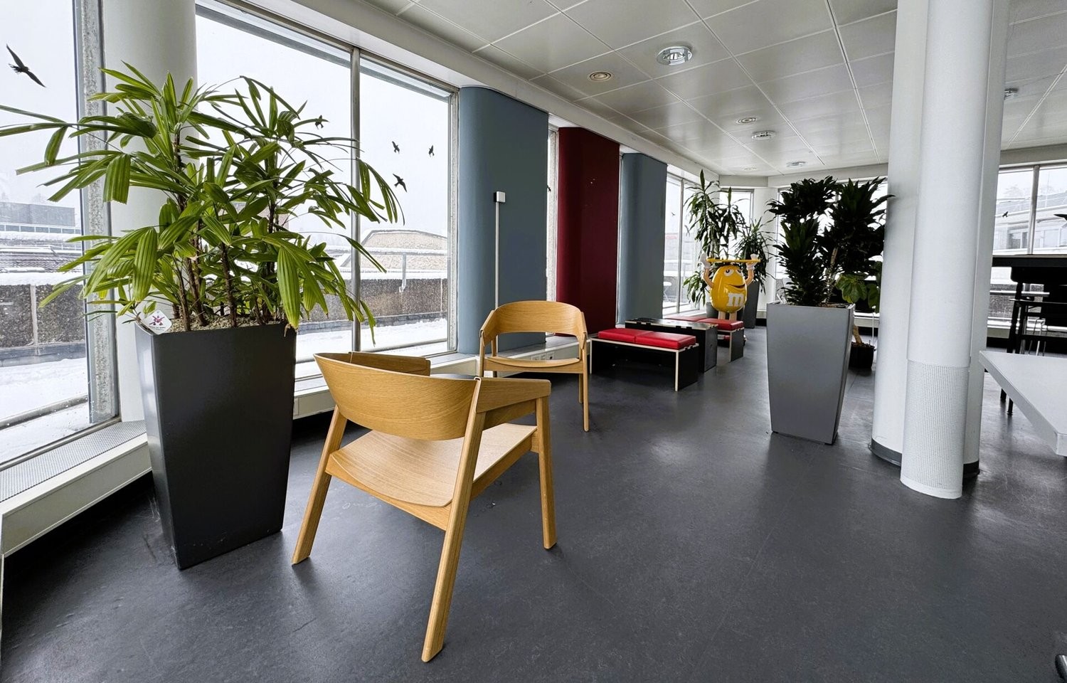 490m² office