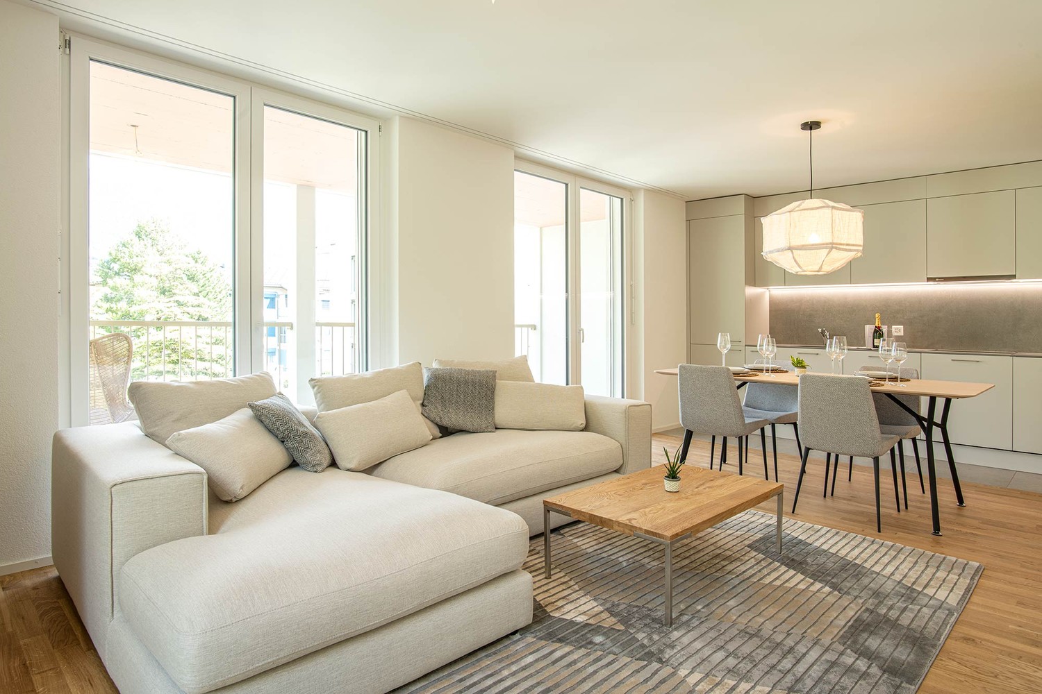 Appartement de 3 ½ pièces