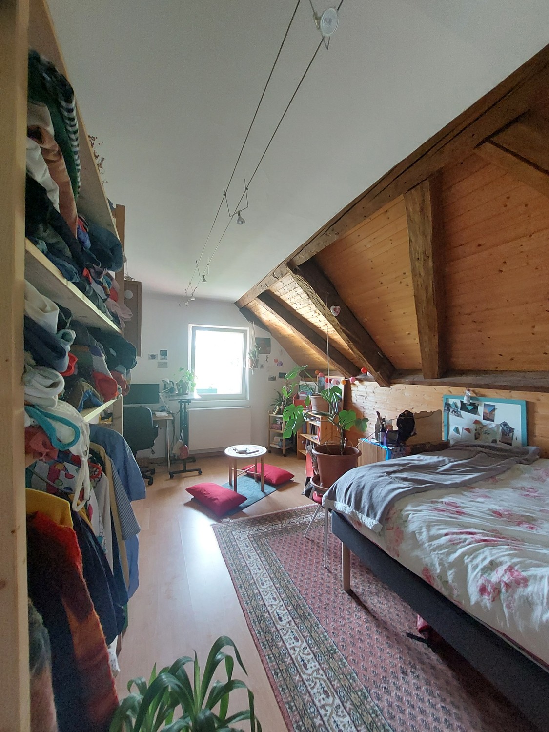 Room in a shared flat, photo 3 sur 6