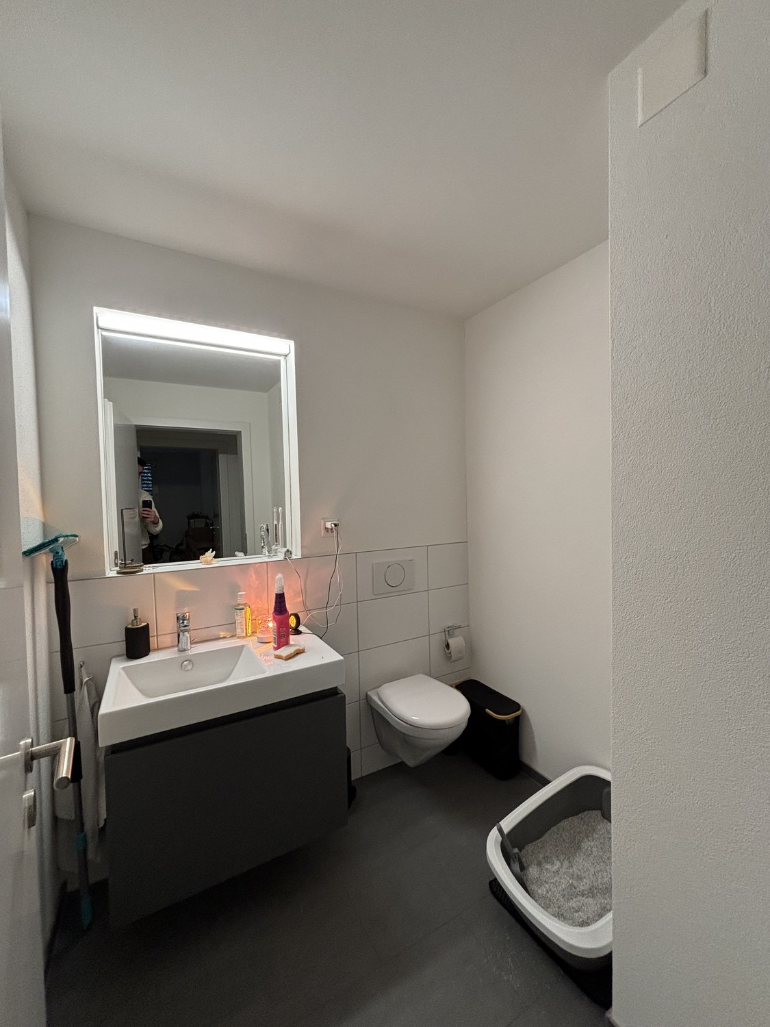 2 ½ Zimmer-Wohnung