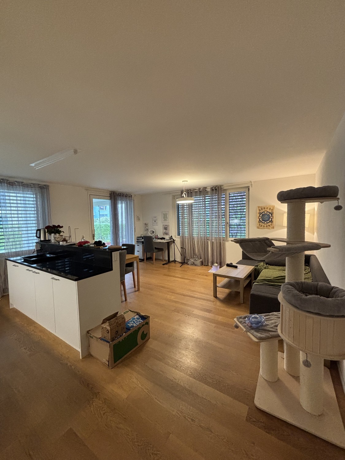 2 ½ Zimmer-Wohnung