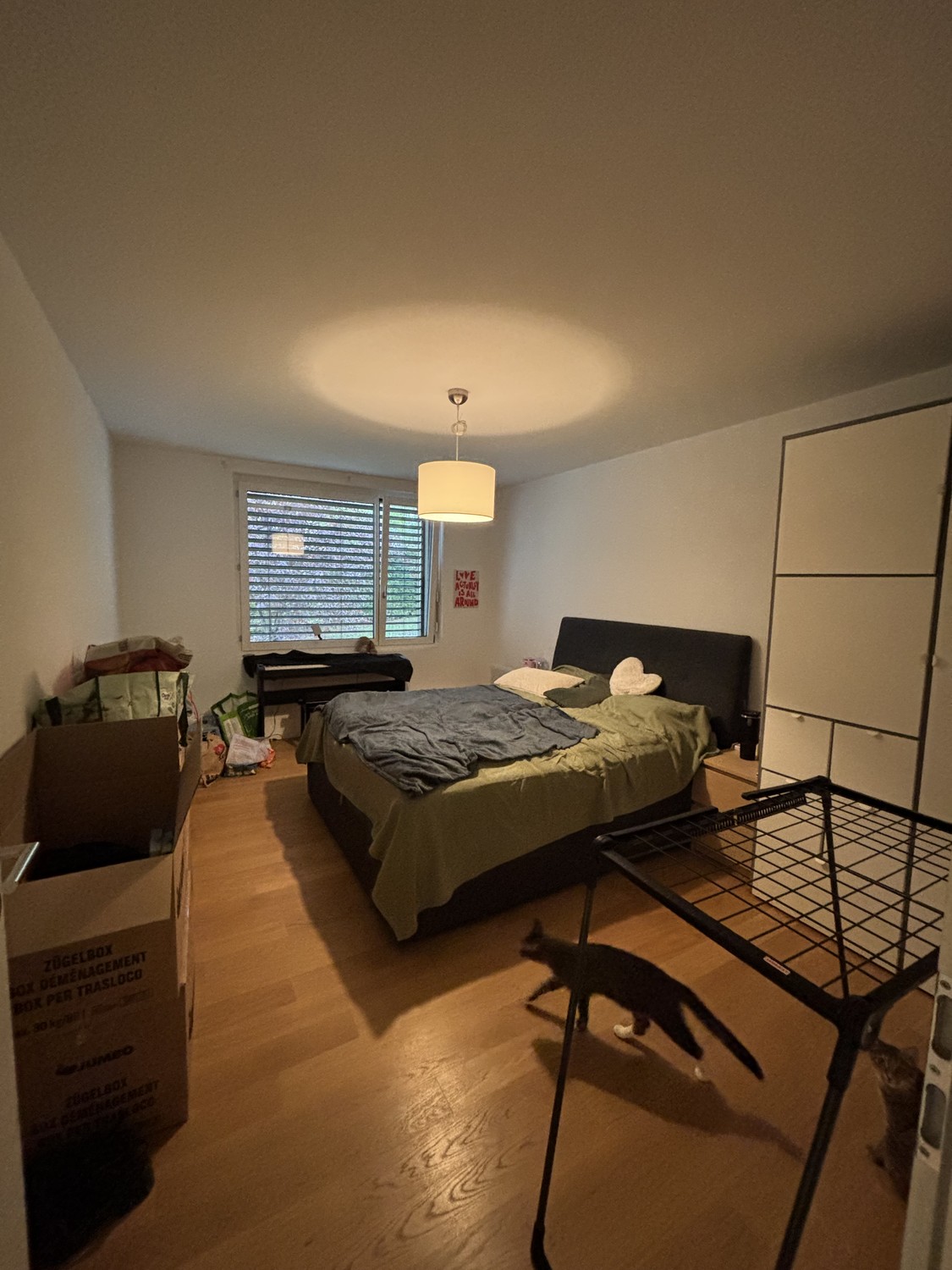 2 ½ Zimmer-Wohnung