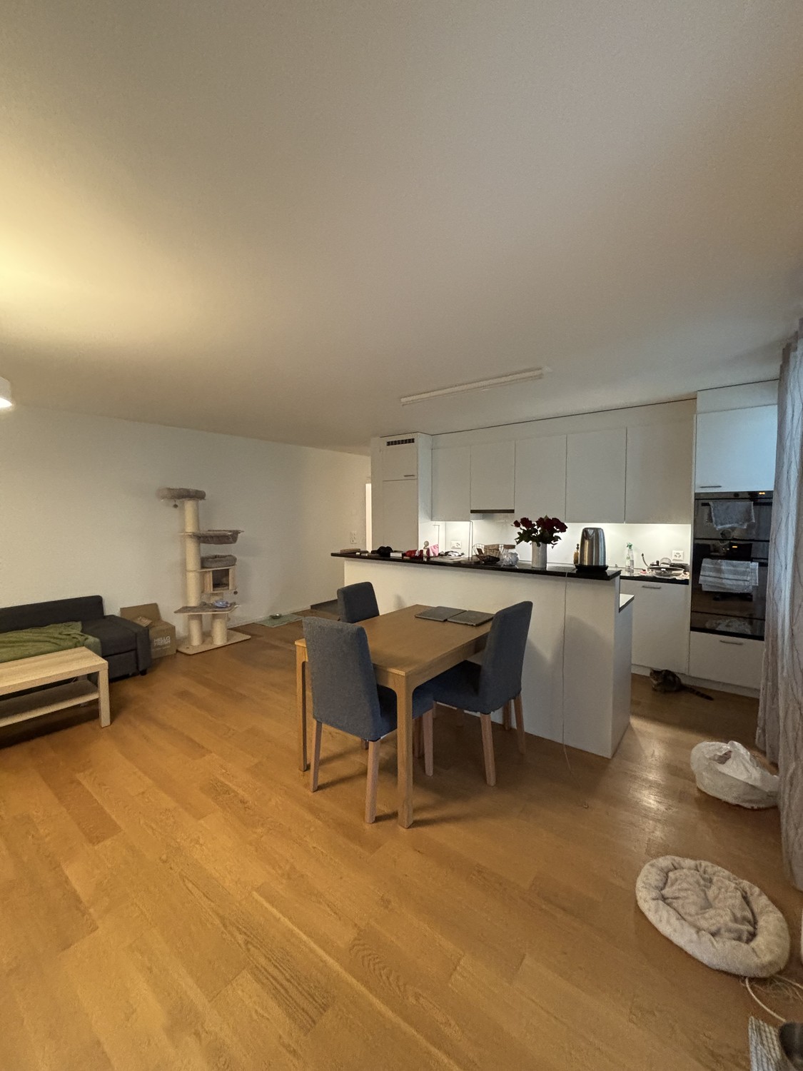2 ½ Zimmer-Wohnung