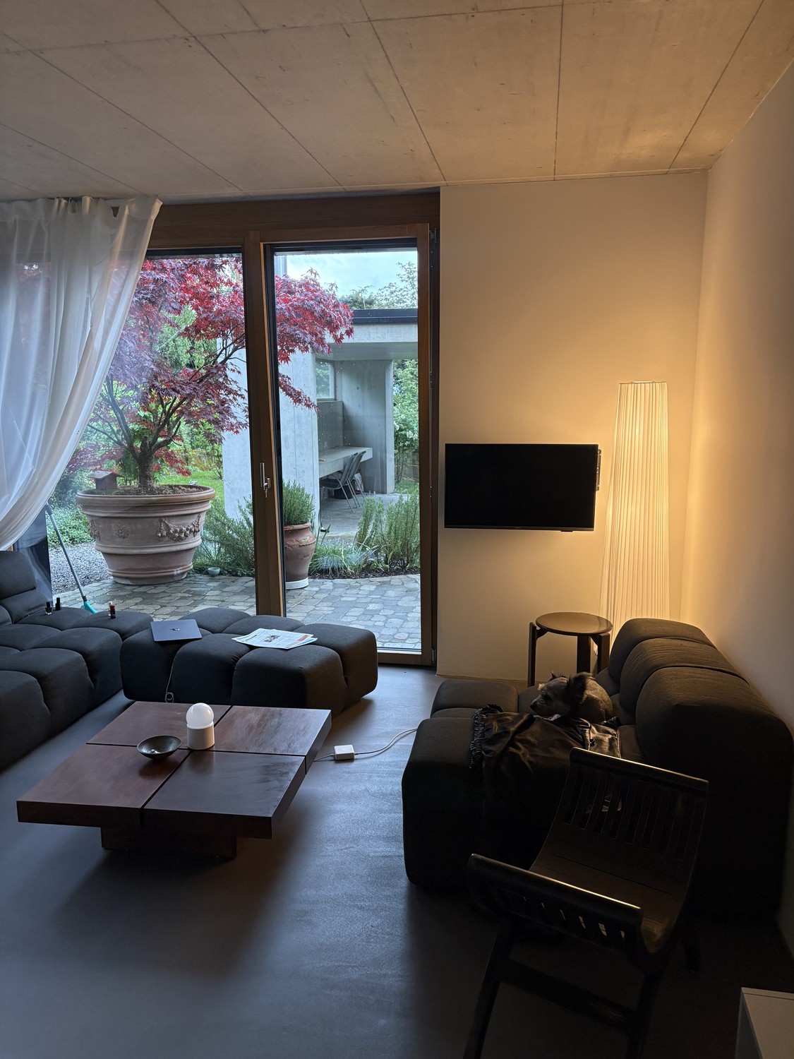 2 ½ rooms apartment, Foto 1 von 9