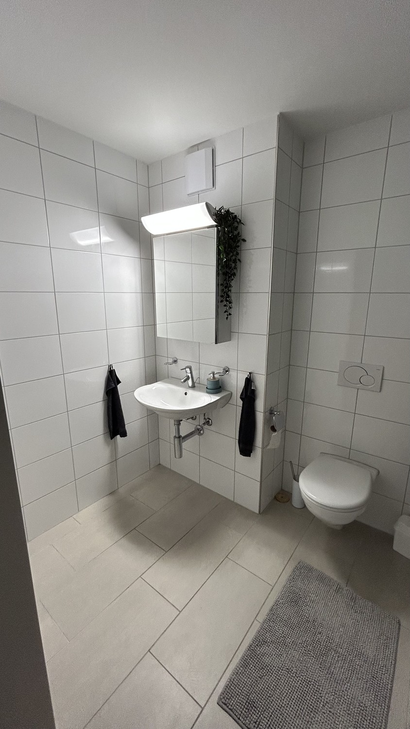 2 ½ Zimmer Wohnung, Foto 5 von 5