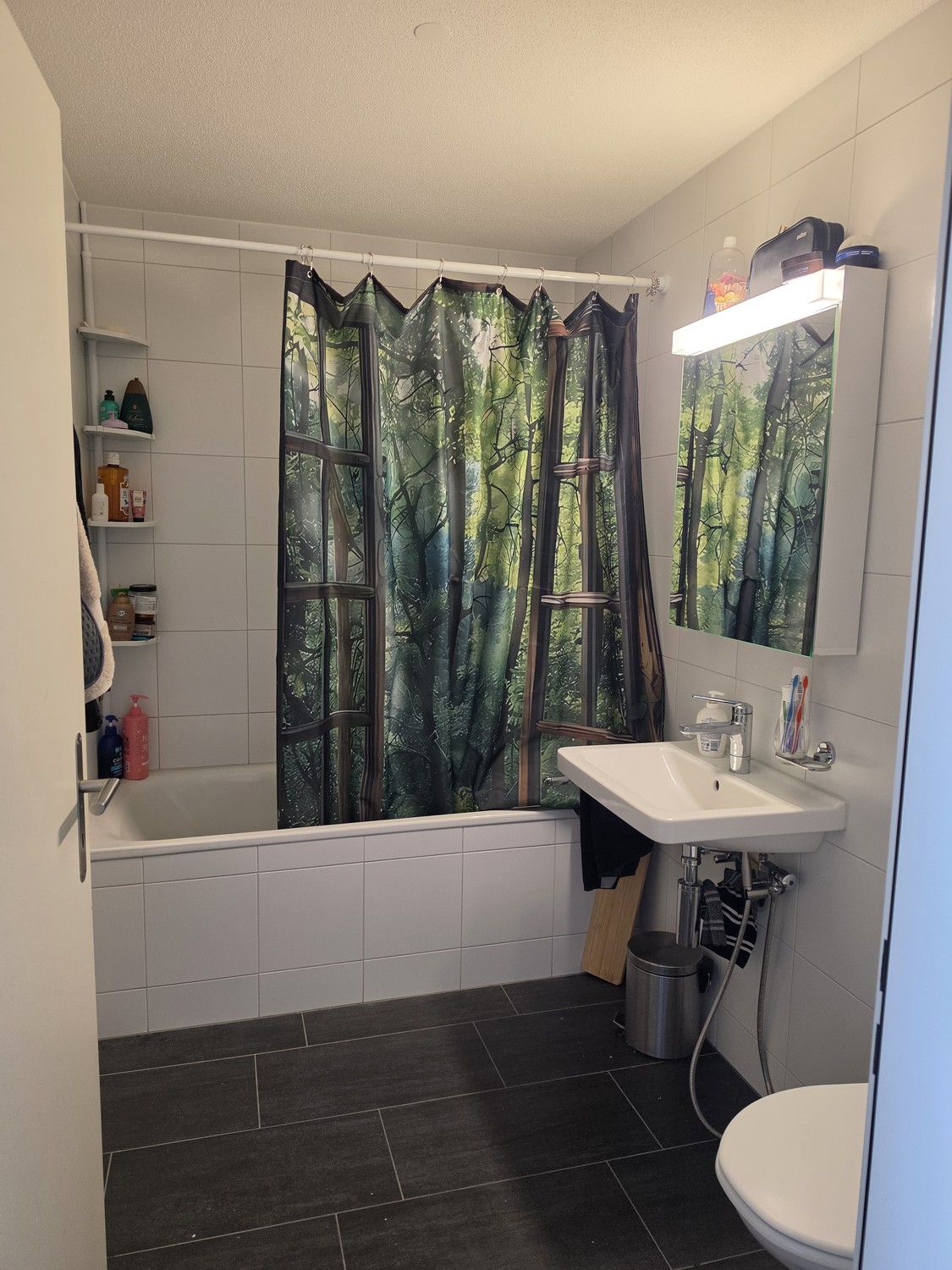 3 ½ rooms apartment, Foto 4 von 10