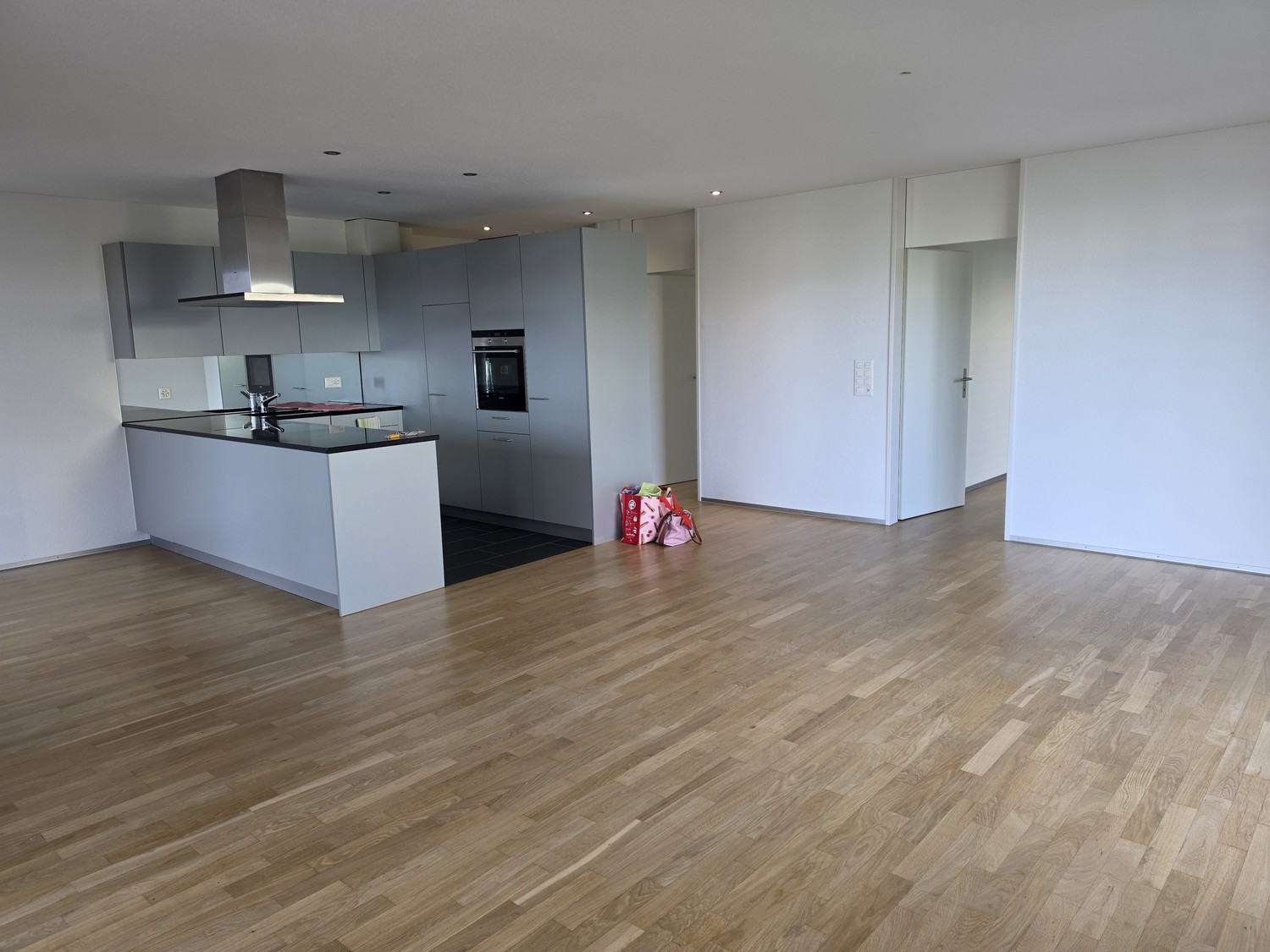 Appartement de 2 ½ pièces