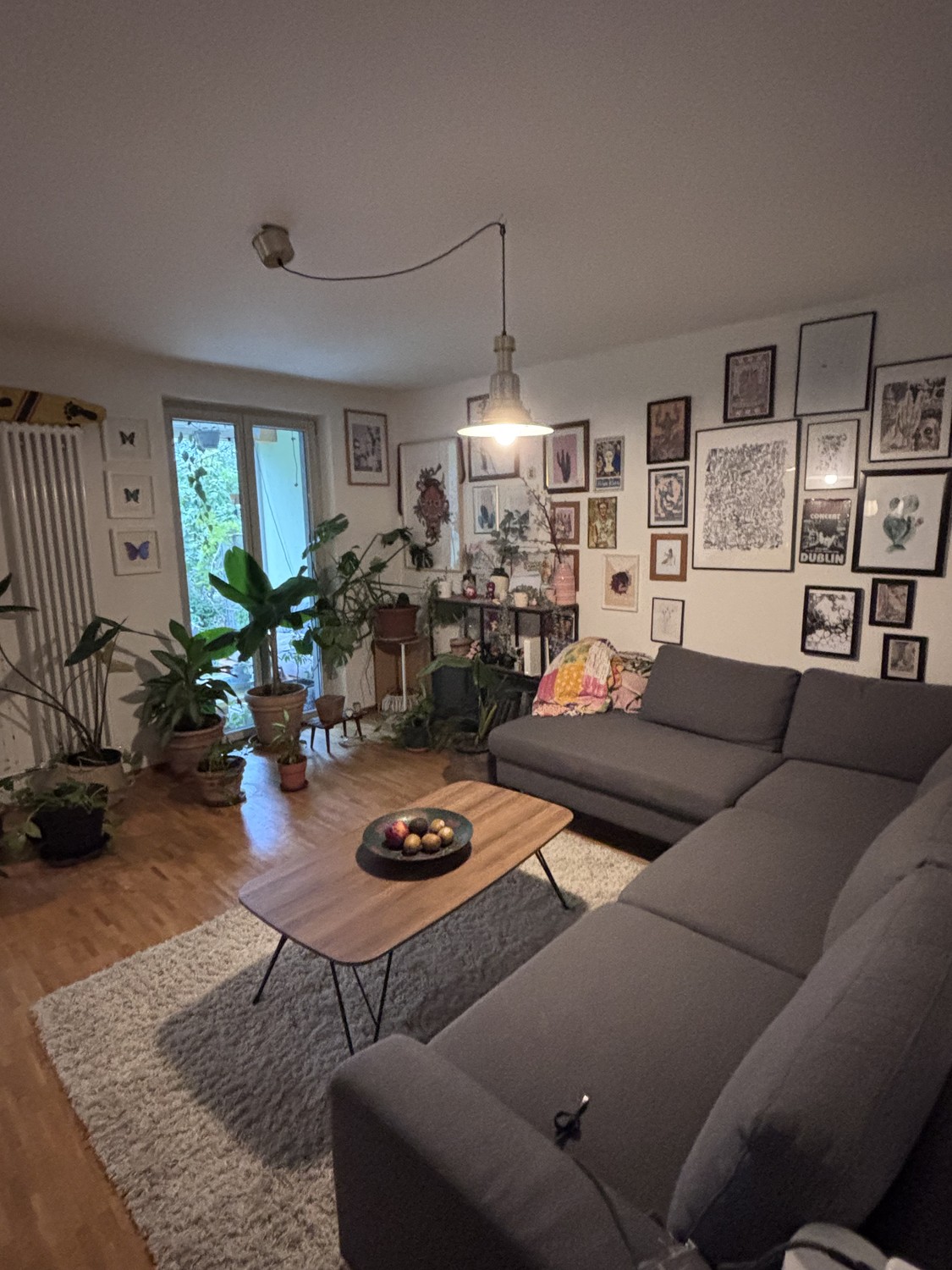 1 room single house, Foto 6 von 7