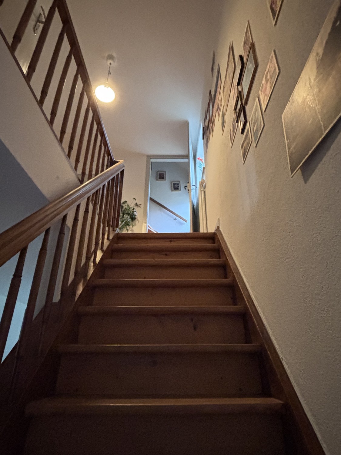 1 room single house, Foto 5 von 7