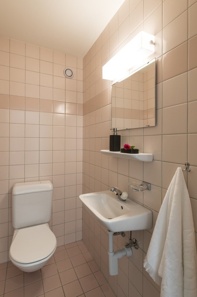 3 ½ rooms apartment (8)