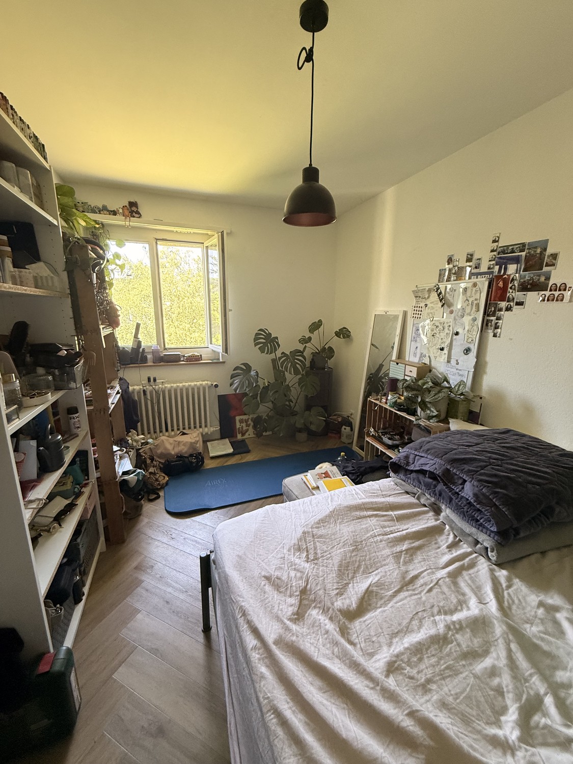 Room in a shared flat
