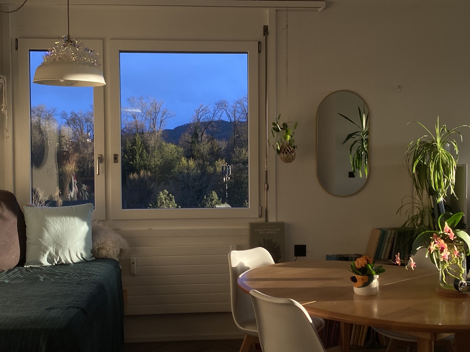 Room in a shared flat
