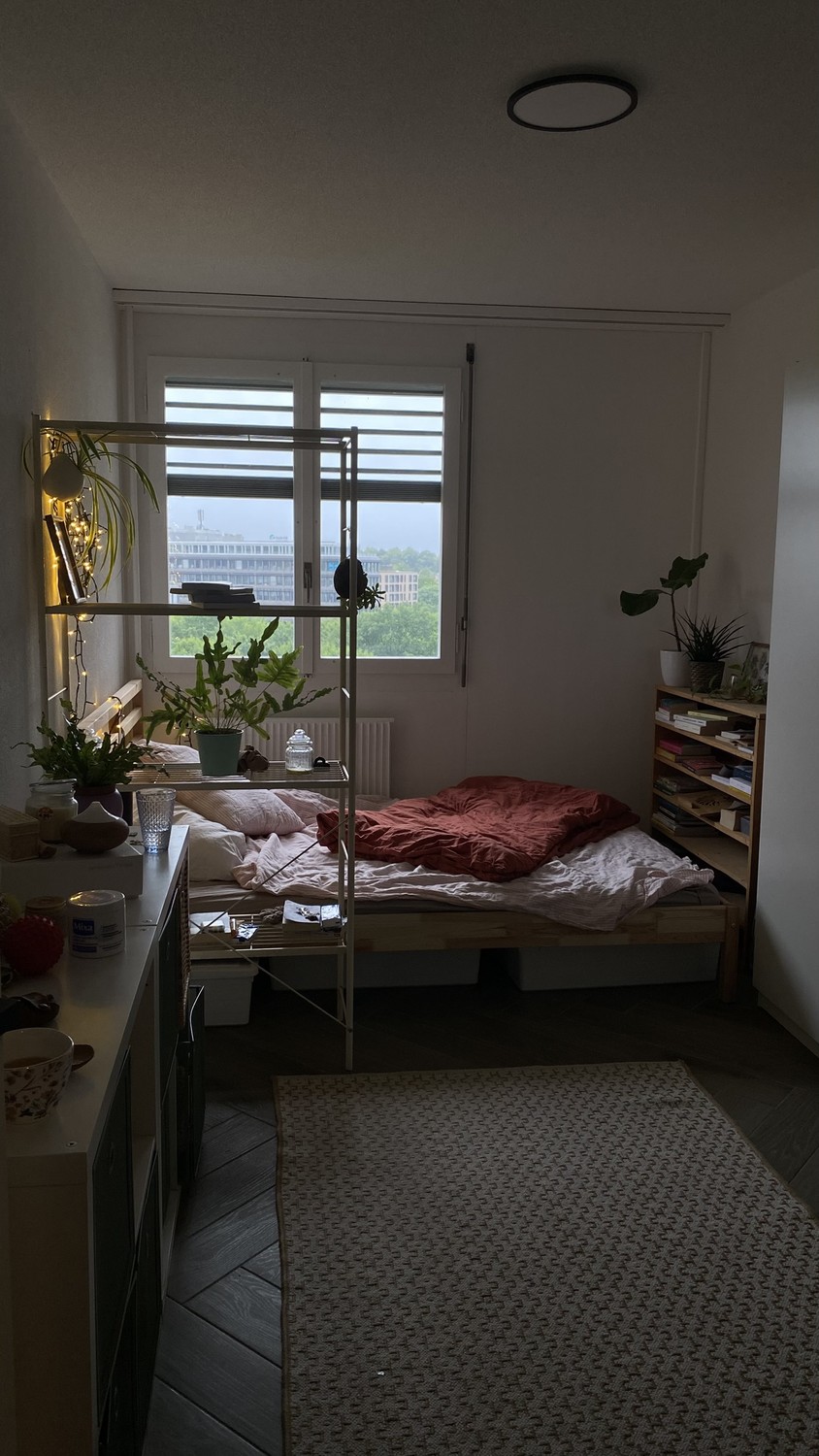 Room in a shared flat