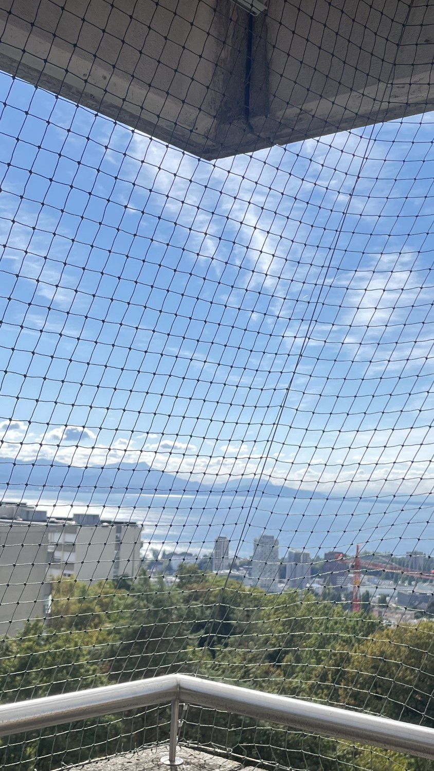 3 ½ Zimmer Wohnung