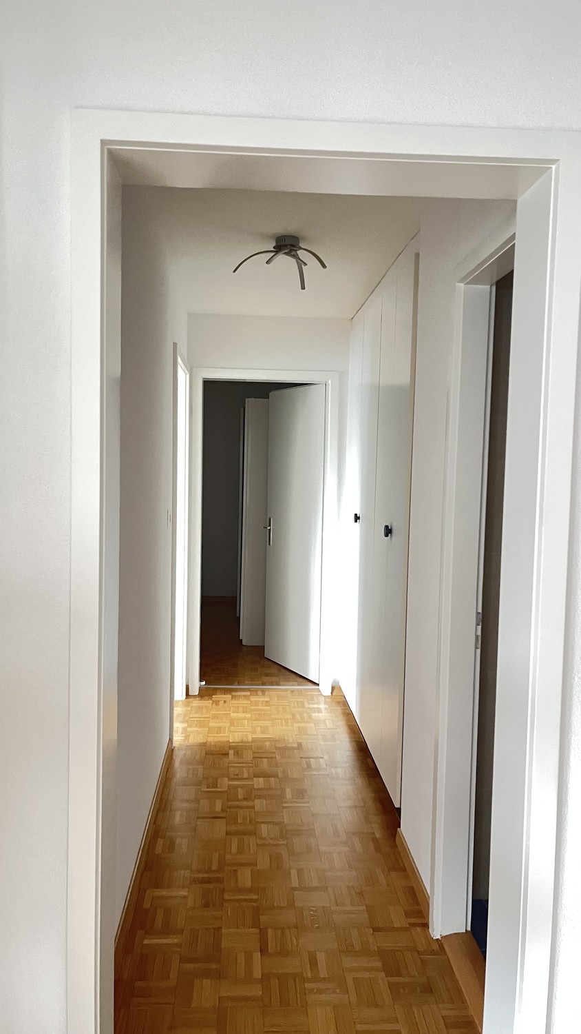 3 ½ Zimmer Wohnung
