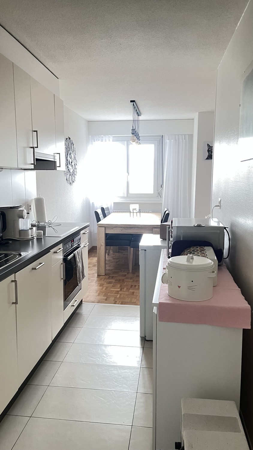 3 ½ Zimmer Wohnung