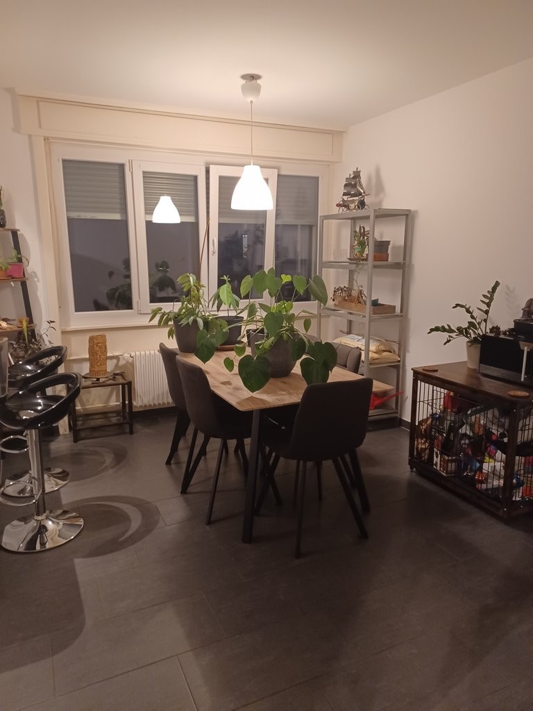 2 ½ Zimmer Wohnung