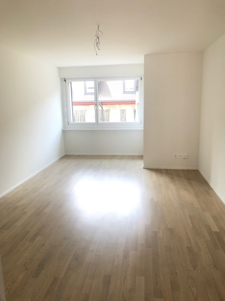 1 room apartment (5)