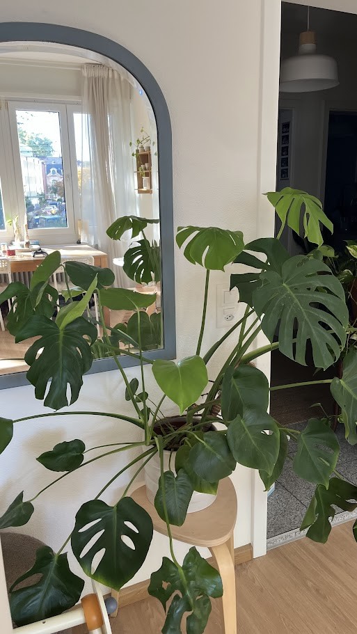 3-Zimmer-Wohnung, Foto 10 von 10