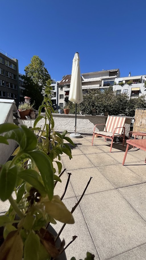 3-Zimmer-Wohnung, Foto 6 von 10