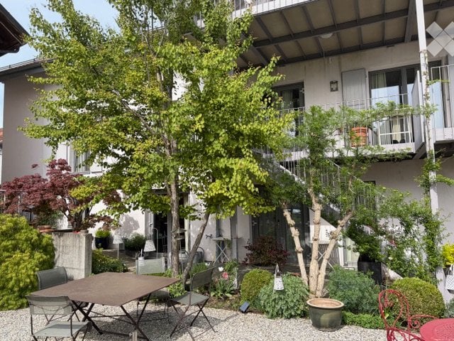 Appartamento di 1 ½ locali