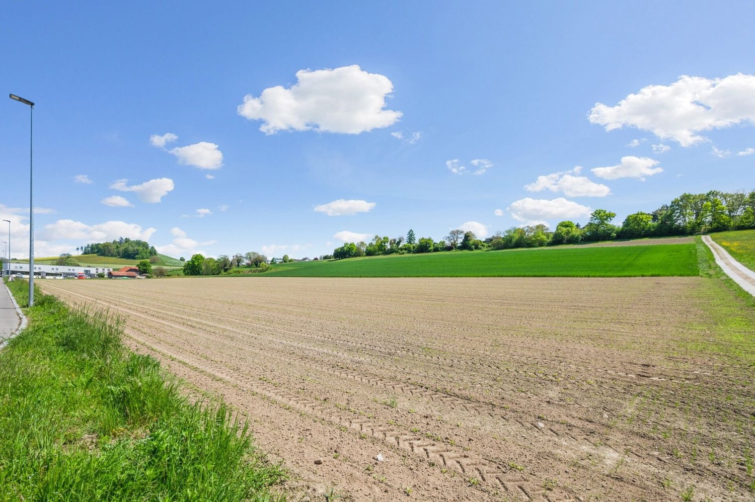 7033m² building land, Foto 5 von 6