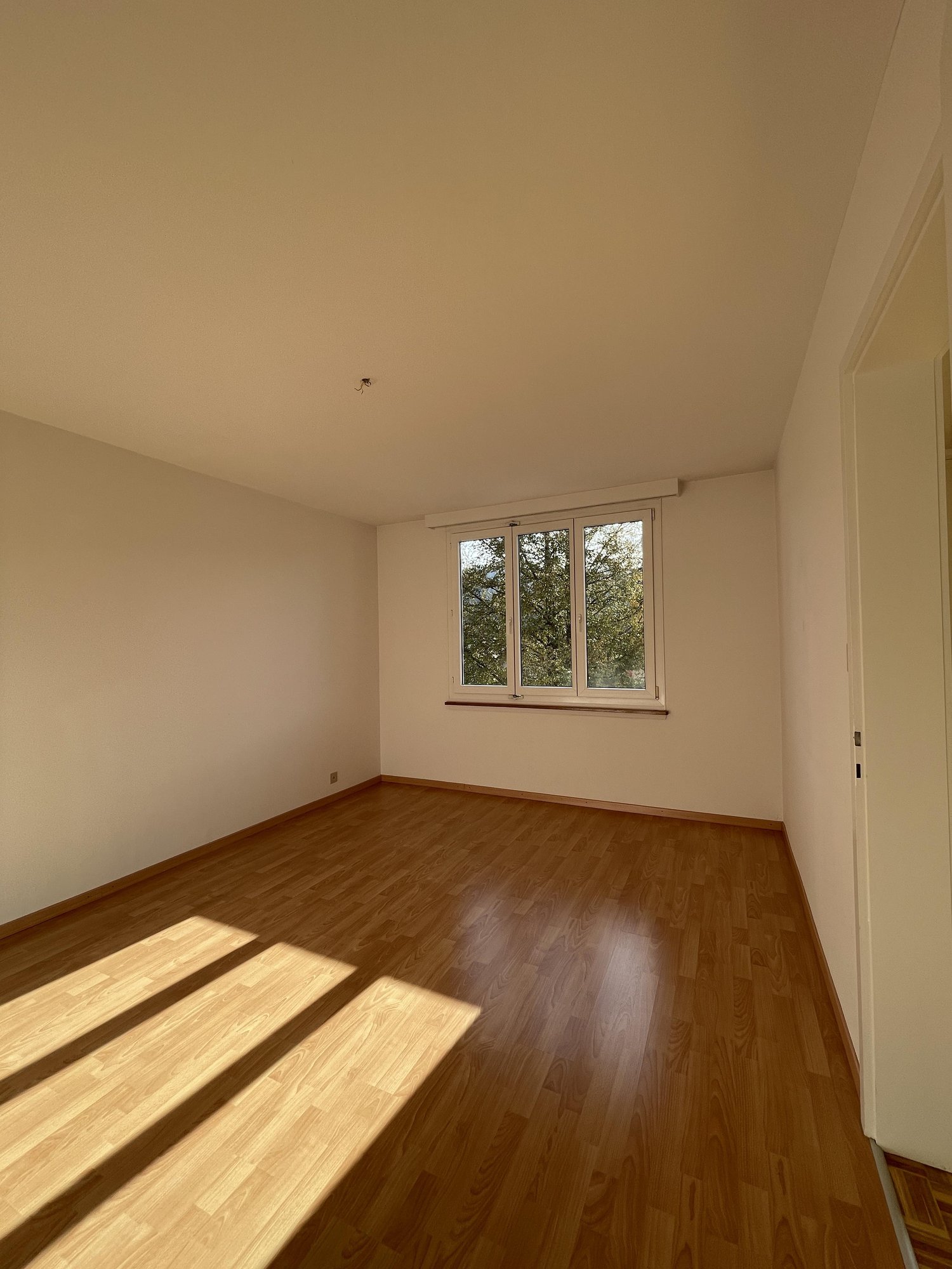 2 ½ pièces appartement